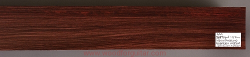rosewood-palisander-fretboard-podstrunnica-7-51