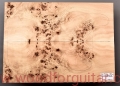 poplar-burl-guitar-top-blank-topola-czeczota-2-5