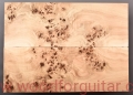 poplar-burl-guitar-top-blank-topola-czeczota-2-6