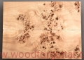 poplar-burl-guitar-top-blank-topola-czeczota-2-8