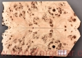topola-czeczota-poplar-burl-guitar-top-gitary-2-21