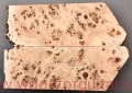 topola-czeczota-poplar-burl-guitar-top-gitary-2-22