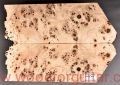 topola-czeczota-poplar-burl-guitar-top-gitary-2-23