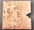 topola-czeczota-poplar-burl-guitar-top-gitary-2-10