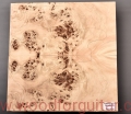 topola-czeczota-poplar-burl-guitar-top-gitary-2-1