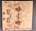 topola-czeczota-poplar-burl-guitar-top-gitary-2-3