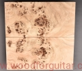 topola-czeczota-poplar-burl-guitar-top-gitary-2-4