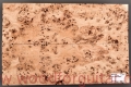 topola-czeczota-top-gitary-poplar-burl-guitar-5-5