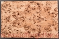 topola-czeczota-top-gitary-poplar-burl-guitar-5-6