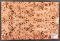 topola-czeczota-top-gitary-poplar-burl-guitar-5-3