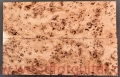 topola-czeczota-top-gitary-poplar-burl-guitar-5-4