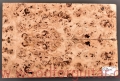 topola-czeczota-top-gitary-poplar-burl-guitar-5-1