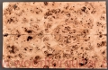 topola-czeczota-top-gitary-poplar-burl-guitar-5-2