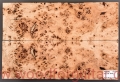 poplar-burl-guitar-top-topola-czeczota-5-3
