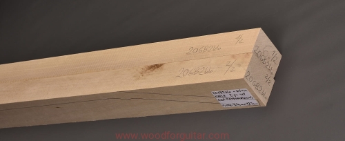 klon-maple-bass-gitara-gryf-ntb-13