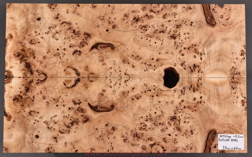 topola-czeczota-top-korpusu-gitary-3-9