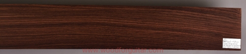 rosewood-palisander-bass-6-strings-16