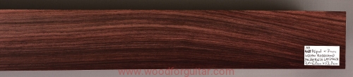 rosewood-palisander-fingerboard-gitara-6-1