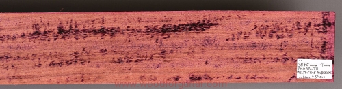 amarant-purpleheart-guitar-podstrunnica-36
