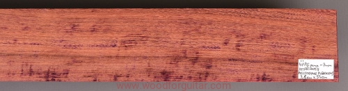 amarant-purpleheart-guitar-podstrunnica-21