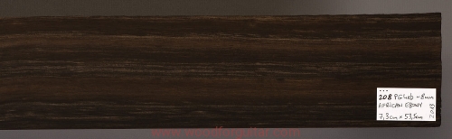 ebony-fretboard-hebanowa-podstrunnica-106