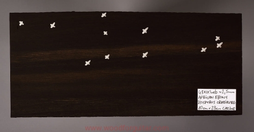 wood-for-guitar-ebony-headstock-15