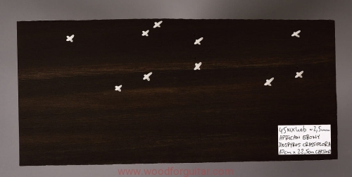 wood-for-guitar-ebony-headstock-11
