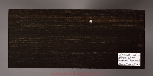 heban-ebony-drewno-na-gitare-15