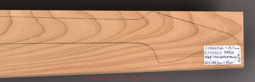 torrefied-maple-klon-bass-neck-gryf-2-63