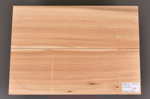 willow-wierzba-bass-body-korpus-1-1