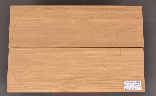 torrefied-spruce-swierk-bass-body-korpus-1-1