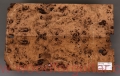 torrefied-poplar-burl-topola-czeczota-top-9