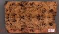 torrefied-poplar-burl-topola-czeczota-top-11