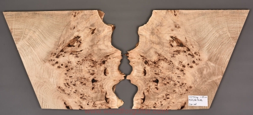 poplar-burl-guitar-body-top-29