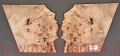 poplar-burl-guitar-body-top-25