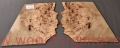 poplar-burl-guitar-body-top-28