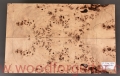 poplar-burl-guitar-body-top-21
