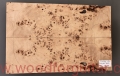 poplar-burl-guitar-body-top-22