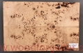 poplar-burl-guitar-body-top-23