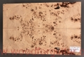 poplar-burl-guitar-body-top-24