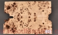 poplar-burl-guitar-body-top-17