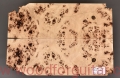 poplar-burl-guitar-body-top-13