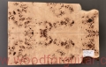 poplar-burl-guitar-body-top-6