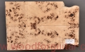 poplar-burl-guitar-body-top-7
