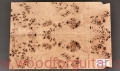 poplar-burl-guitar-body-top-1