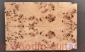 poplar-burl-guitar-body-top-3