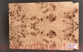 poplar-burl-guitar-body-top-4