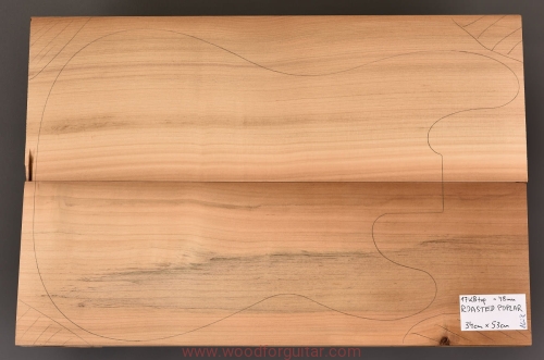 topola-torrefied-poplar-korpus-body-363