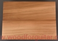 topola-torrefied-poplar-korpus-body-354