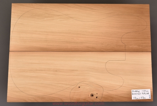 topola-torrefied-poplar-korpus-body-337